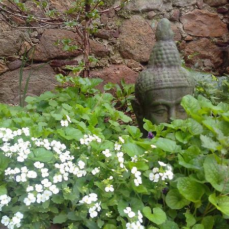 Le Clos De La Source Bed and Breakfast Le Bousquet-d'Orb Esterno foto