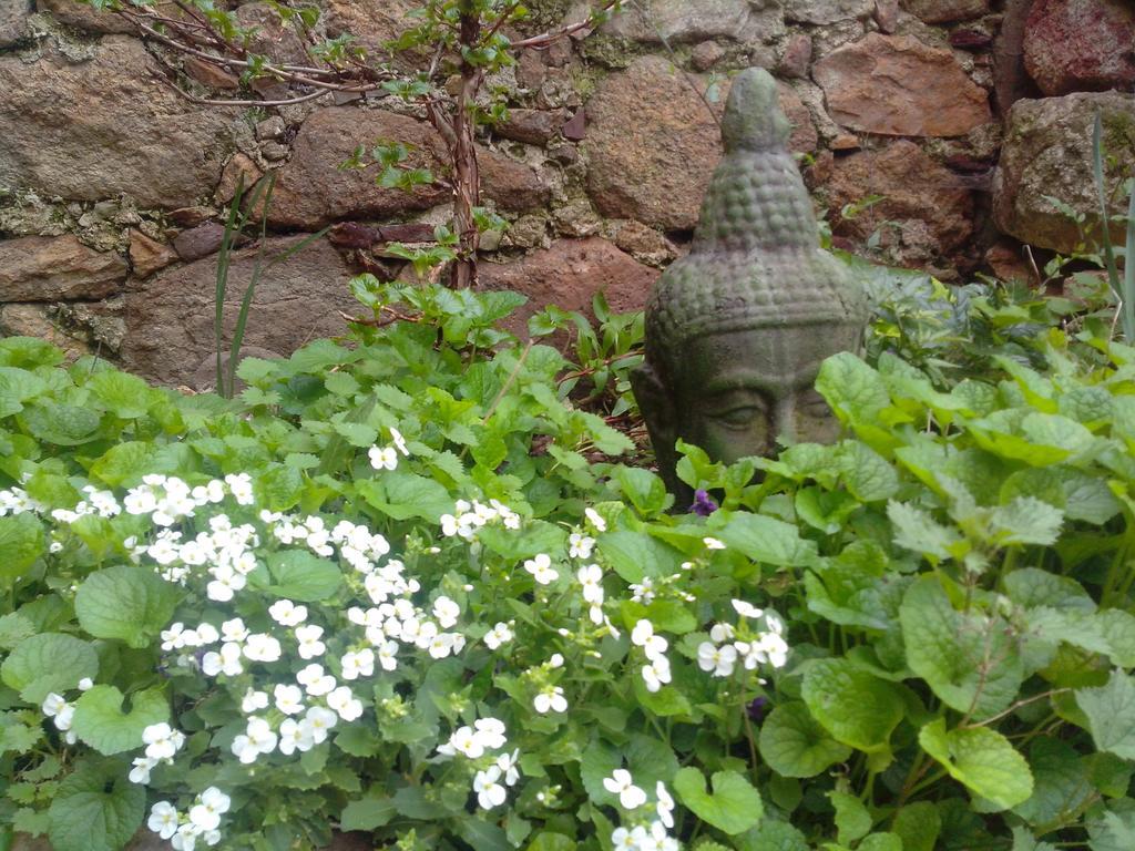 Le Clos De La Source Bed and Breakfast Le Bousquet-d'Orb Esterno foto