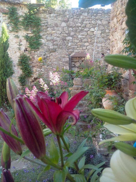 Le Clos De La Source Bed and Breakfast Le Bousquet-d'Orb Esterno foto